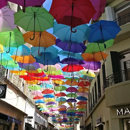 Le Cocon Urbain *